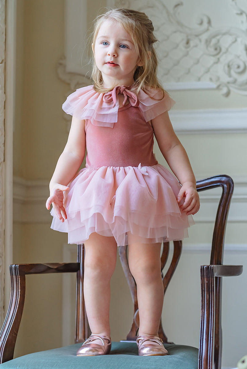 Whitby Tulle Dress & Collar Set, Velvet Pink – view 6