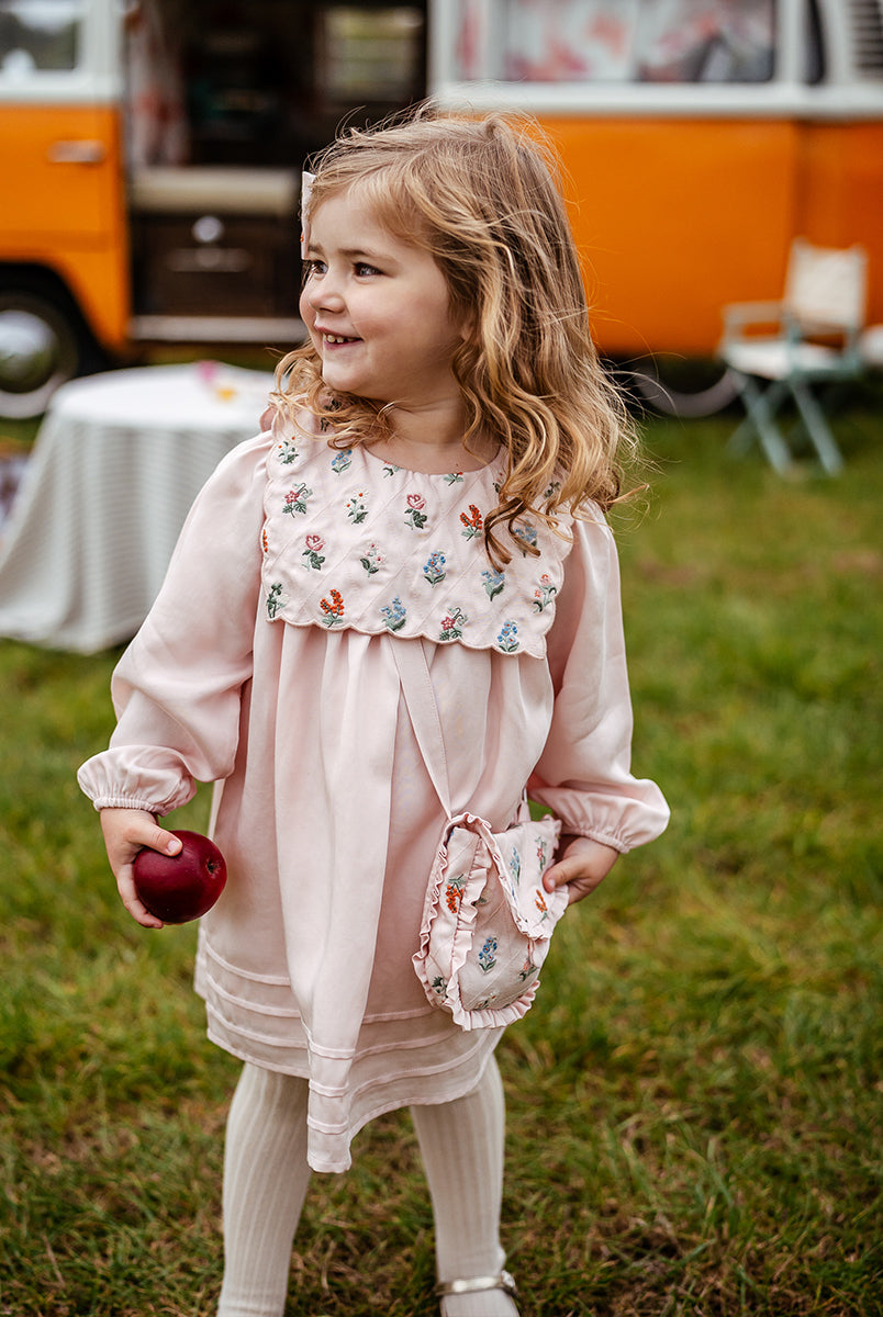 Ely Embroidered Dress, Light Rose – view 6