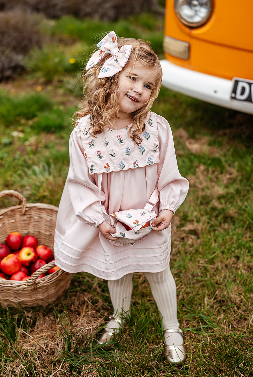 Ely Embroidered Dress, Light Rose – view 7