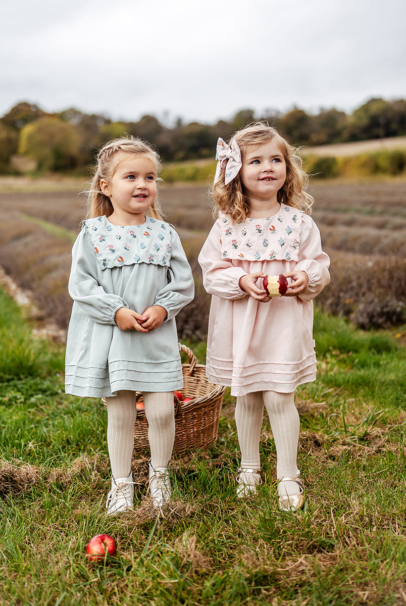 Ely Embroidered Dress, Pea Green – view 5